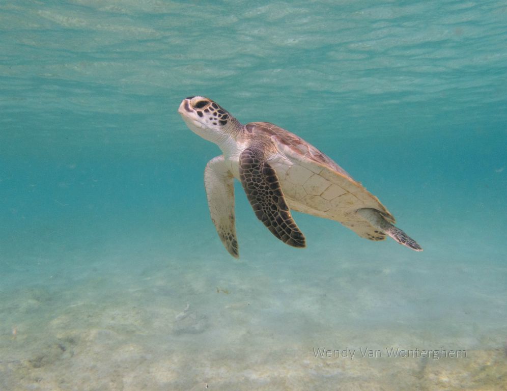 Bonaire